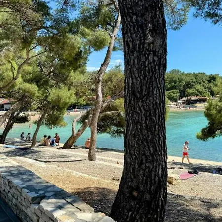 Mobile Dream, Soline Camping *